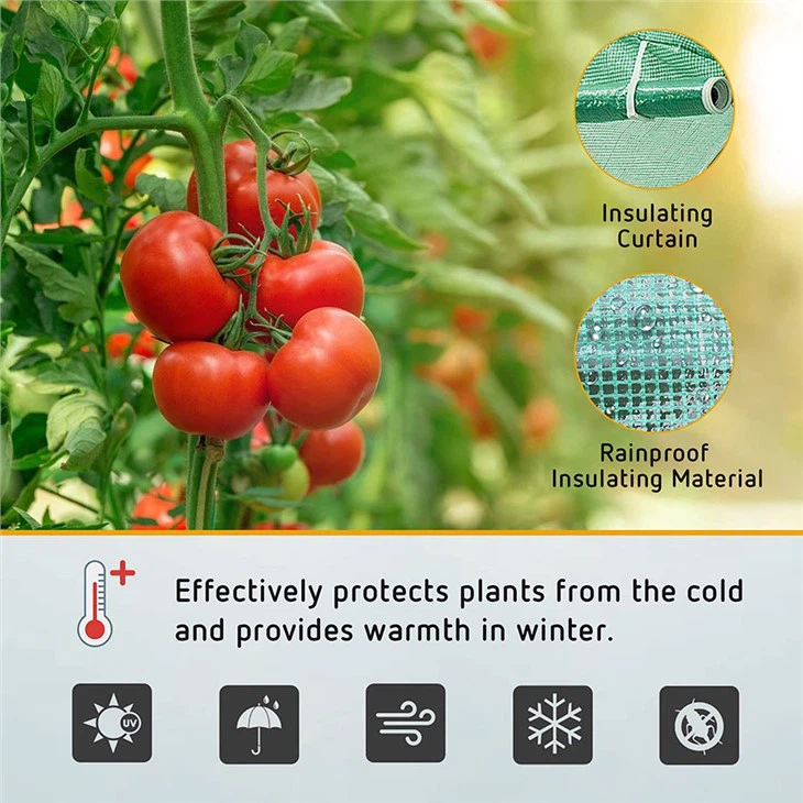 6x2x2 Polytunnel Greenhouse